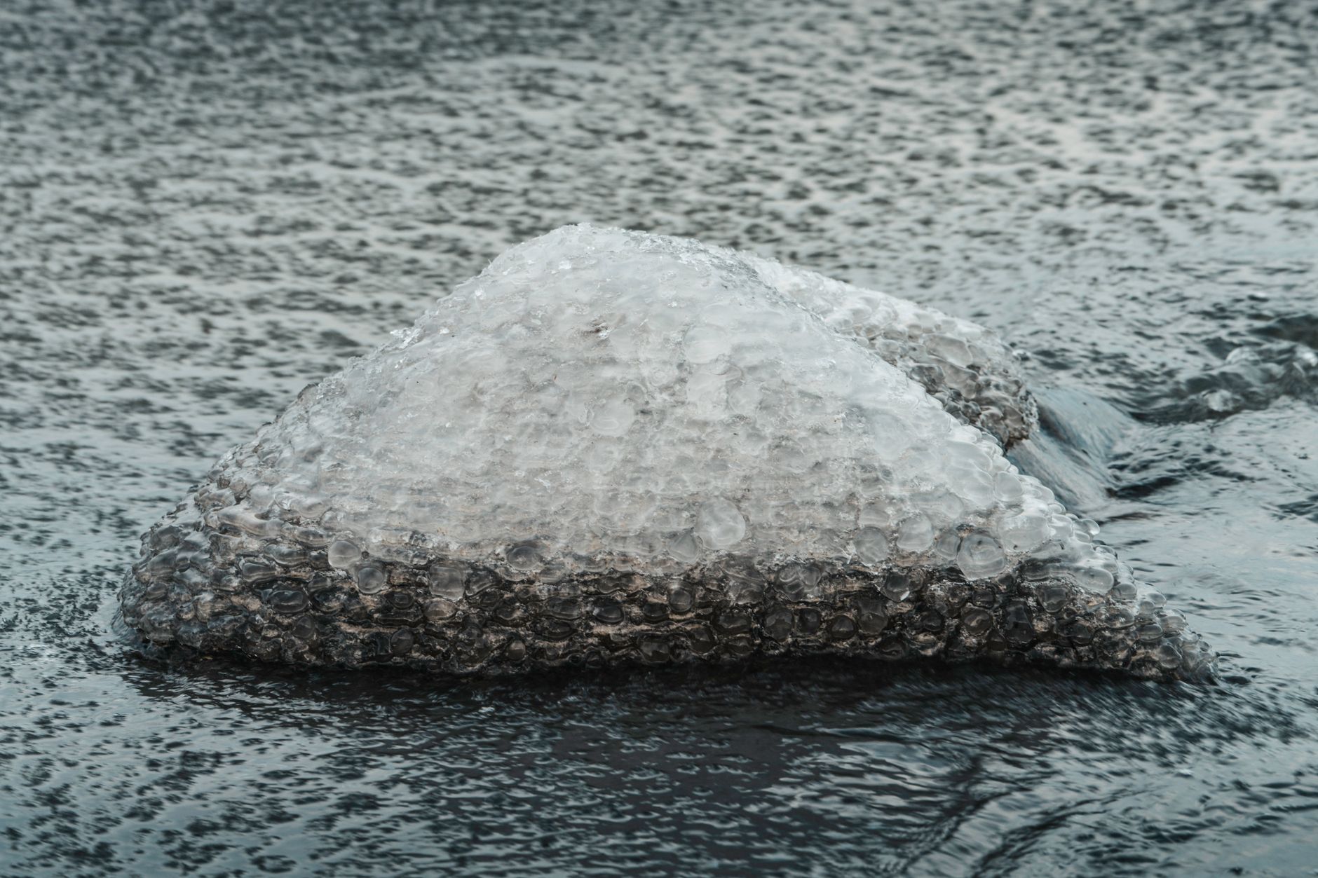 Close-up of a thermometer submerged in a glass of clear spirit surrounded by ice cubes