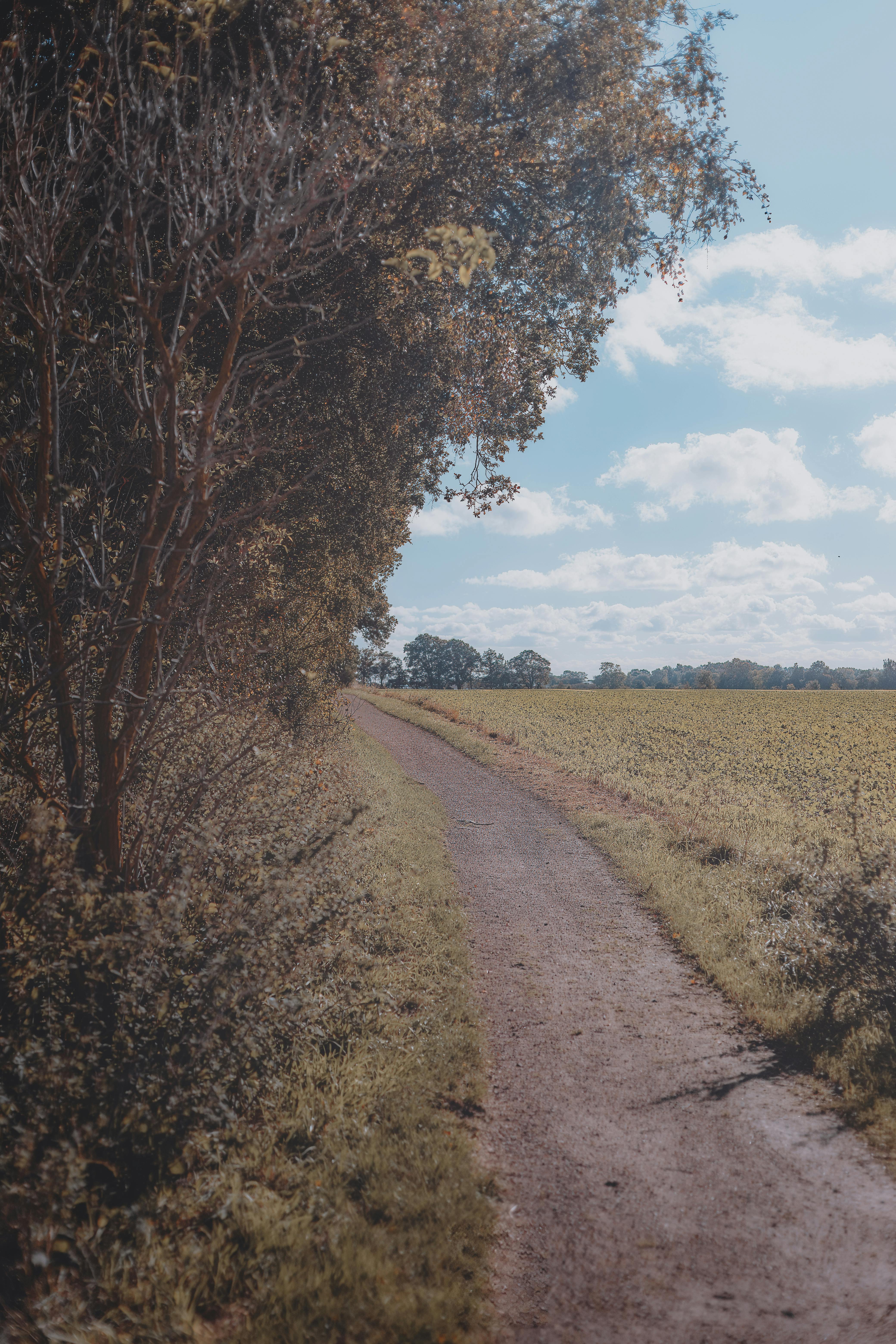Scenic Country Pathway in Autumn Helsingborg · Free Stock Photo