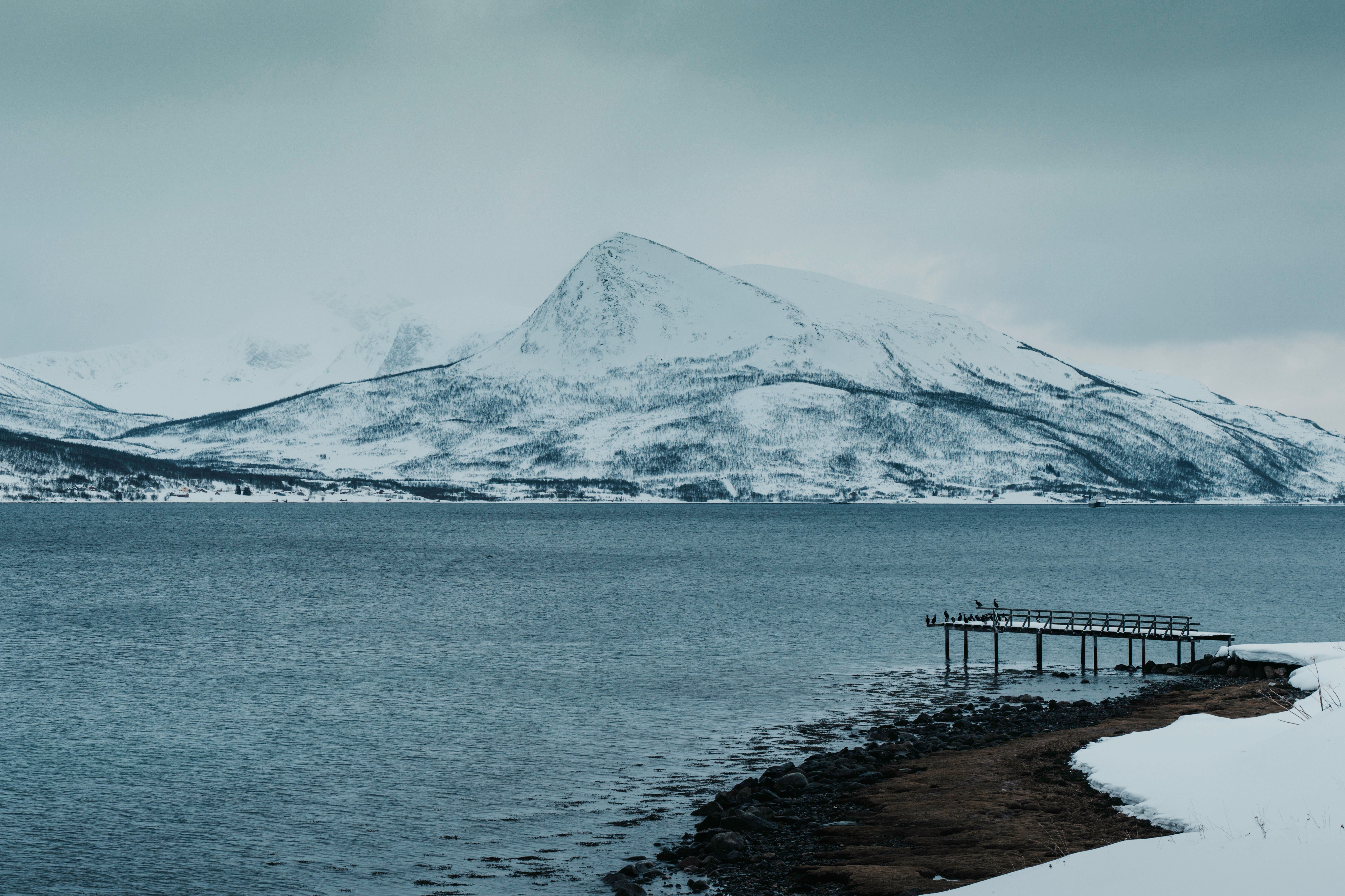 Person wearing a high-quality waterproof and windproof jacket by a Norwegian fjord on a cloudy day
