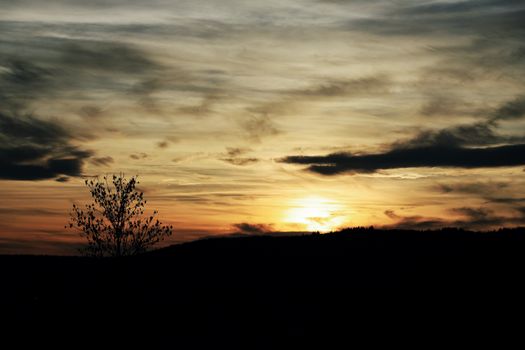 A picturesque sunset over hills with a lone tree silhouette. Perfect for serene and nature-themed projects.