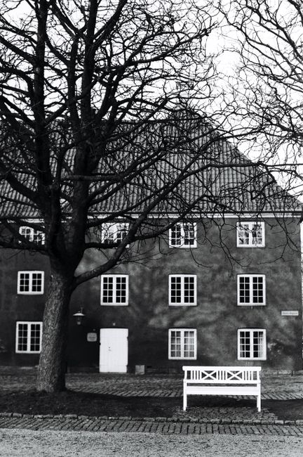 Black and white facade of residential house on street with leafless high trees