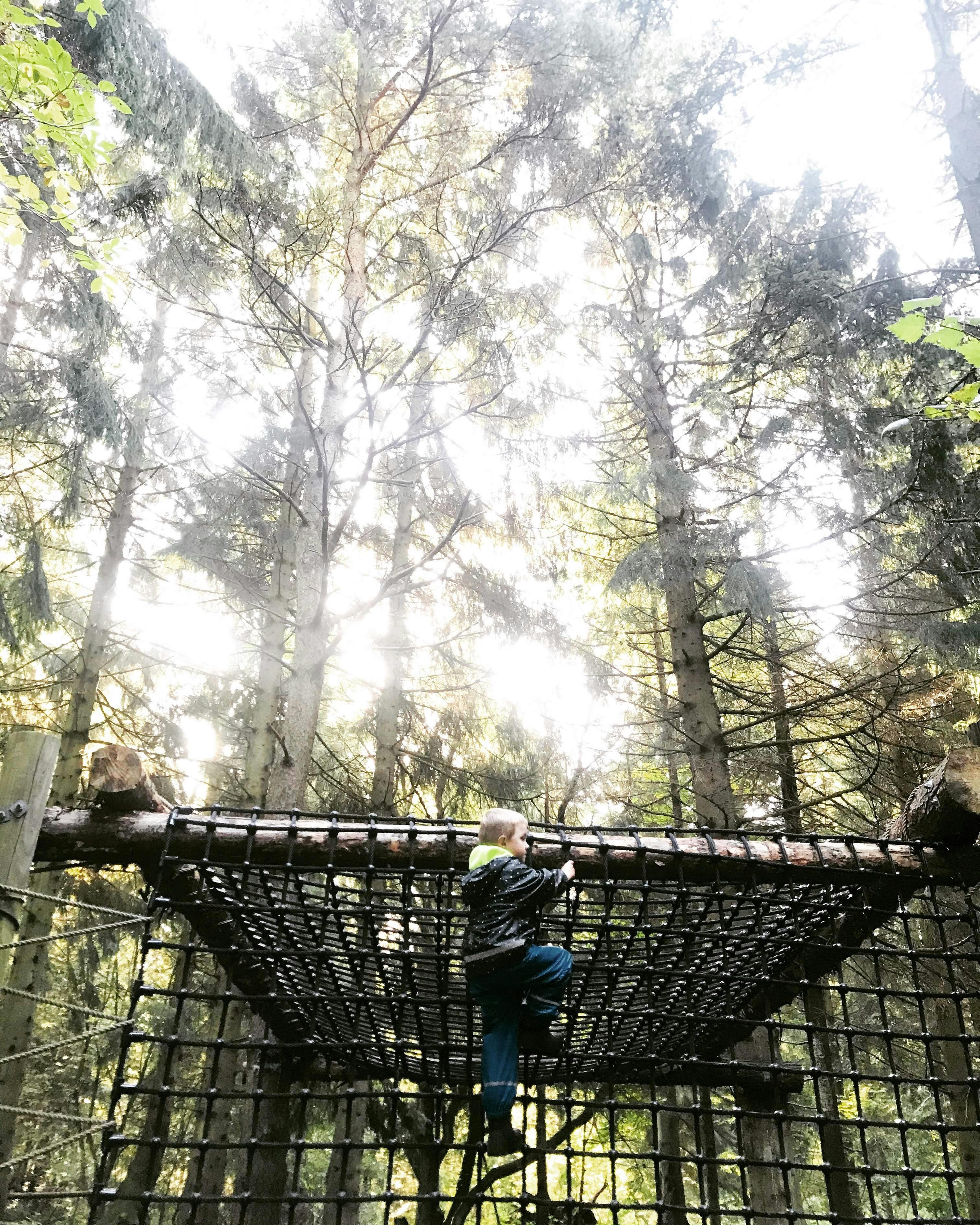 coconut-oil-skincare