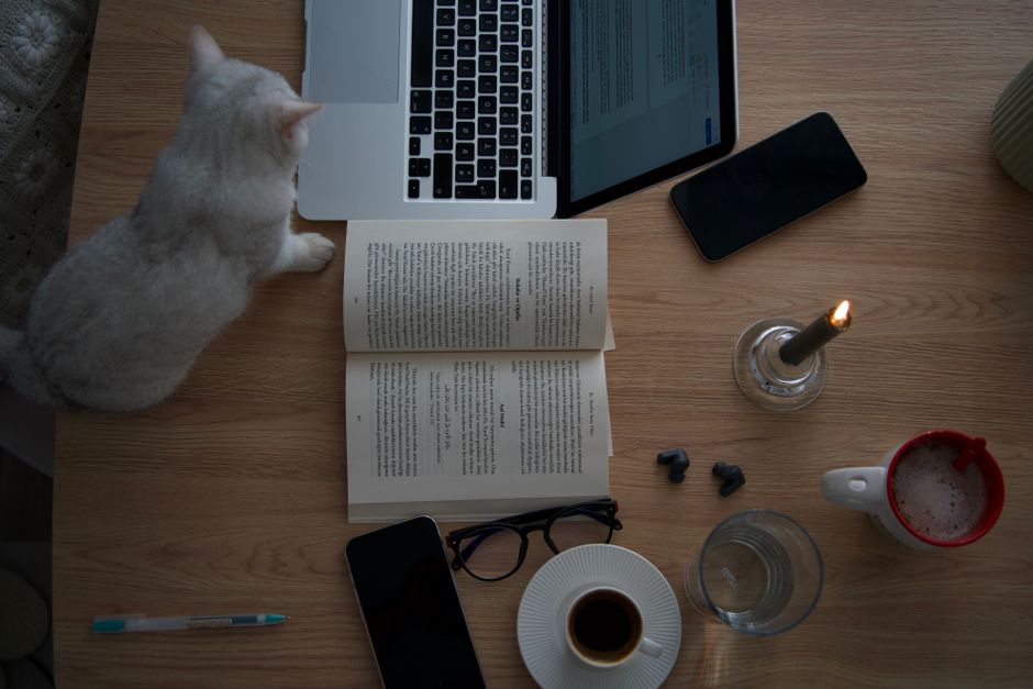 What Veterinary Research Reveals About Best Cat Food Brands Warm, cozy workspace featuring a laptop, book, and cat on a wooden desk.