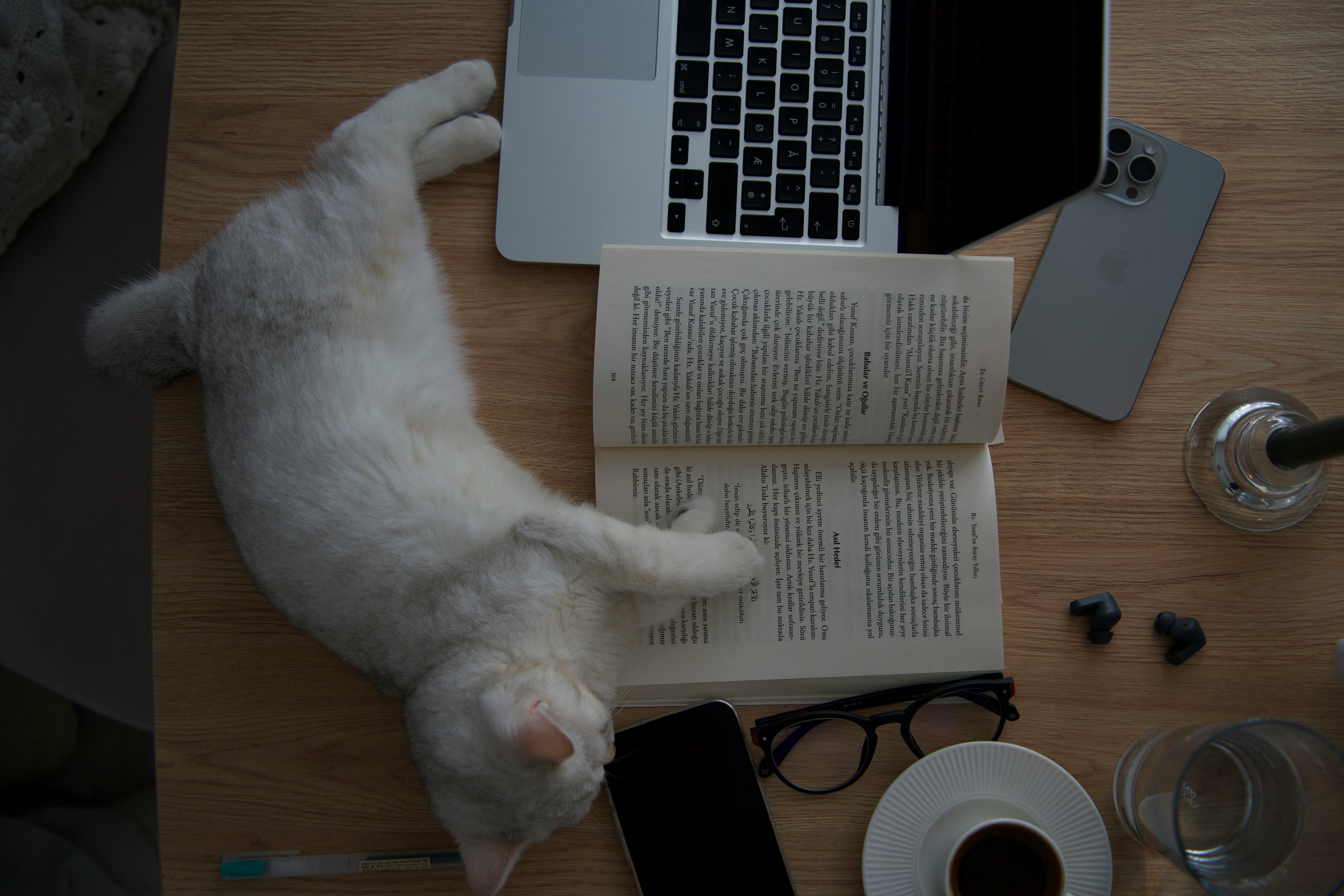 A relaxing scene with a cat sleeping on a book near a laptop and coffee on a desk.