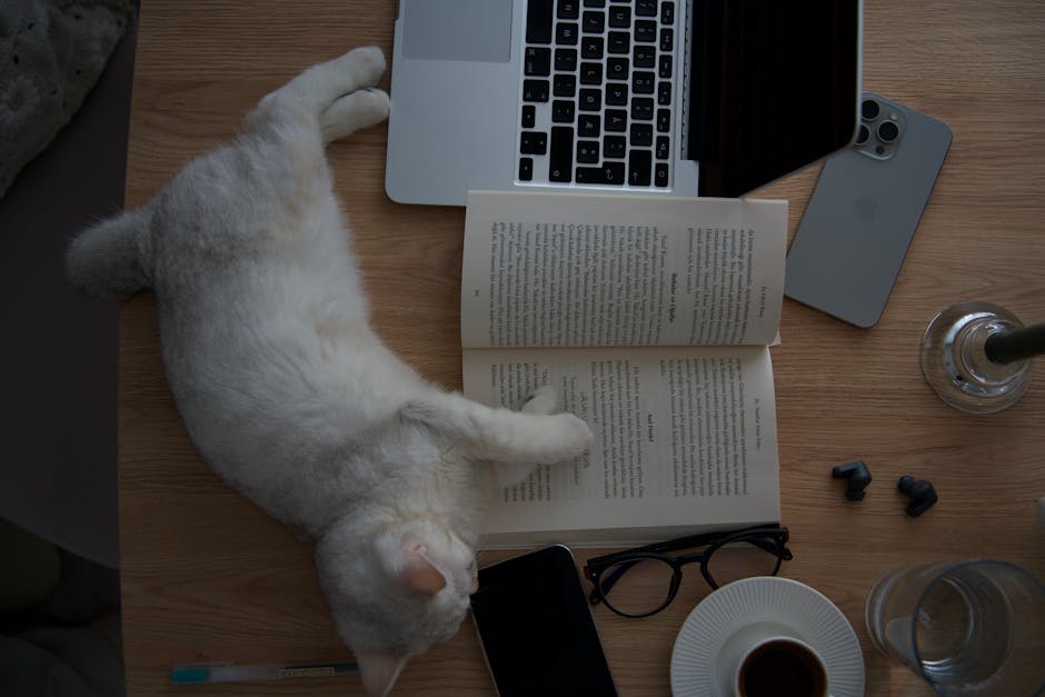 Foam vs Silicone vs Custom Earplugs: Which Best Blocks Noise for Sleep? A relaxing scene with a cat sleeping on a book near a laptop and coffee on a desk.