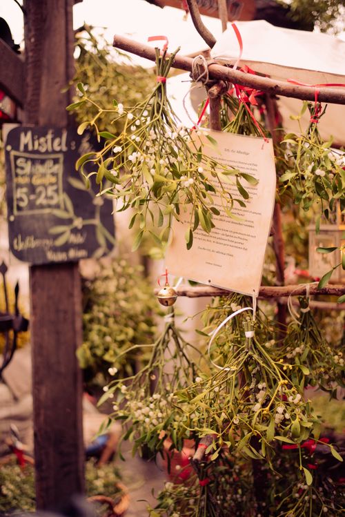 Free Mistletoe Bremen Stock Photo