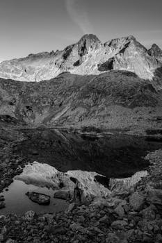 Image by Miroslav Glasa