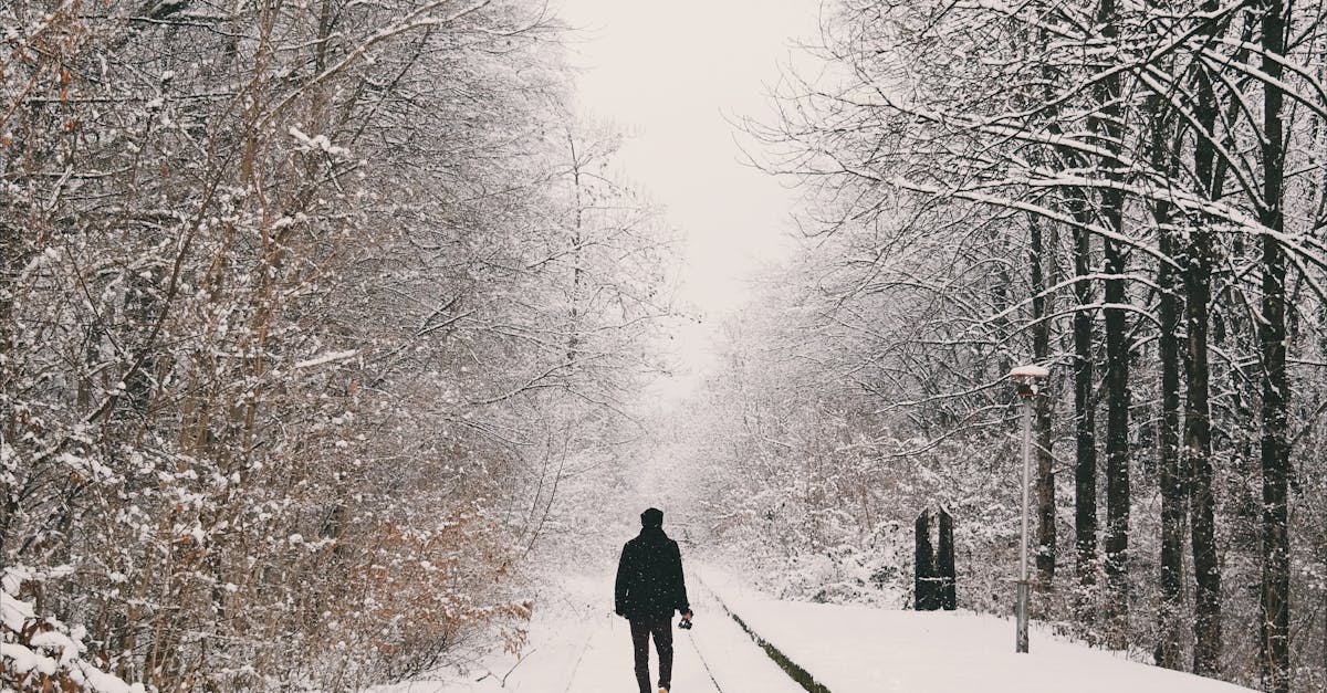 Free stock photo of cold, forest, man