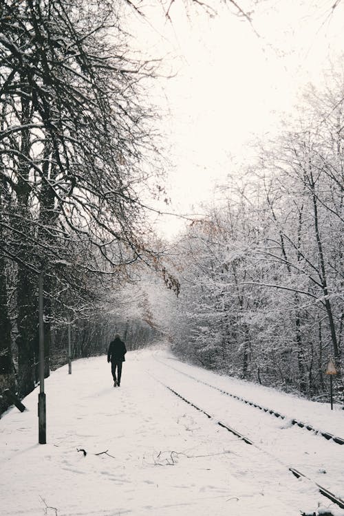 Hombre Caminando Sobre Campo De Nieve