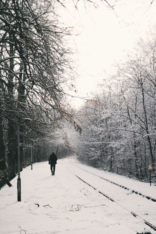 Free A lone person walks along snow-covered railway tracks through a winter forest. Stock Photo