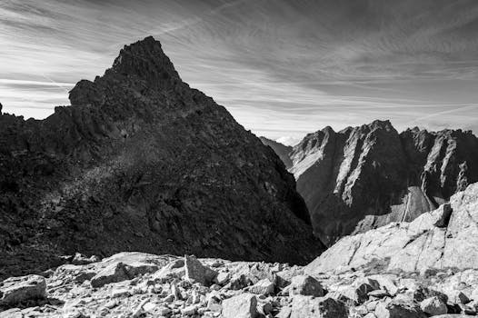 Image by Miroslav Glasa