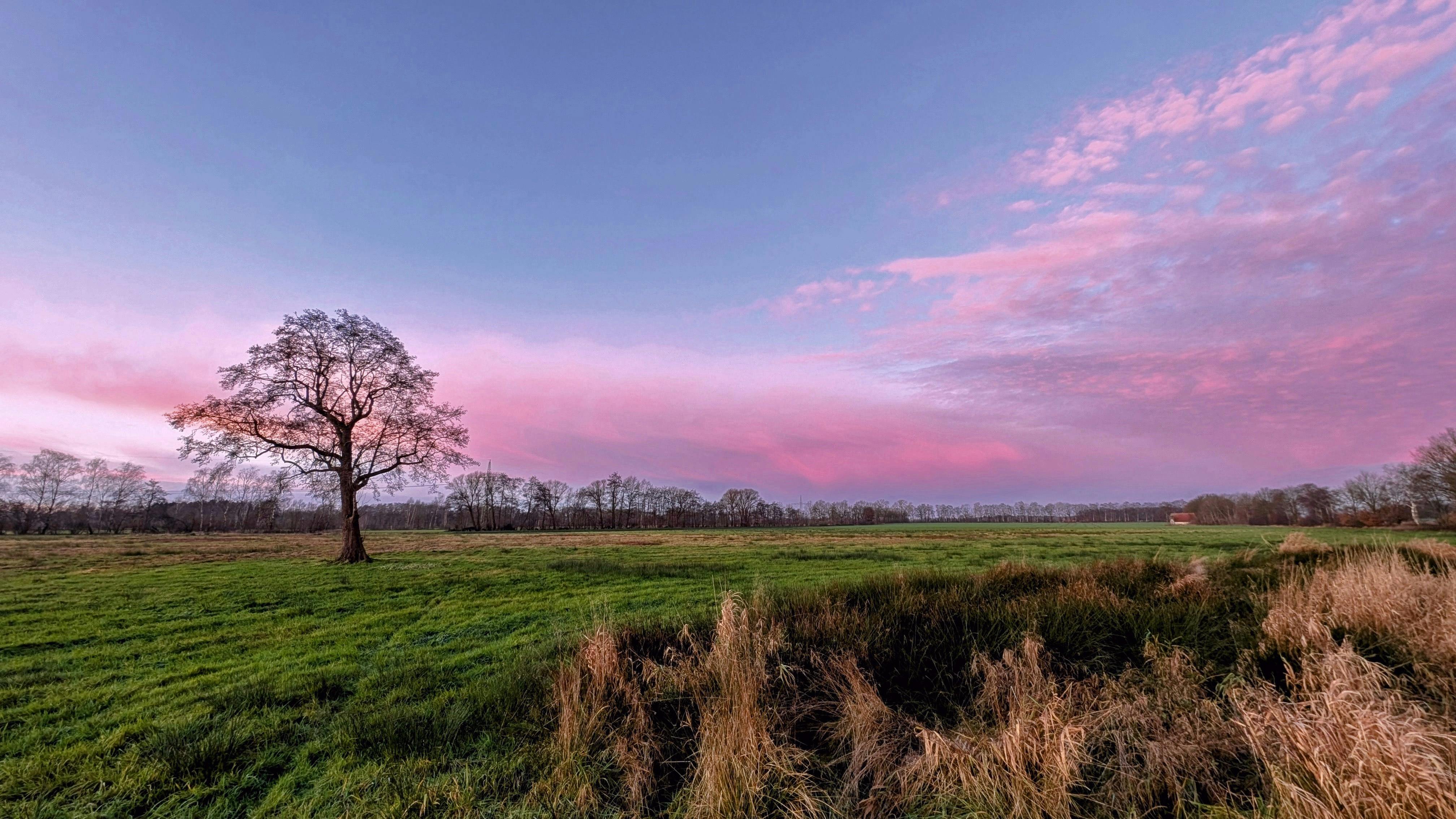 scenic pasture in werlte niedersachsen at sunset