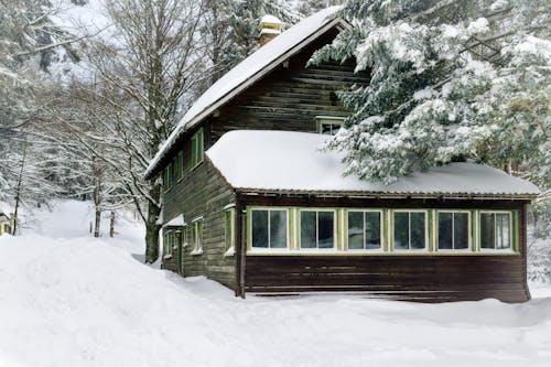 черно белый деревянный дом