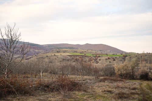 Free Tranquil autumn landscape featuring rolling hills and leafless trees under a cloudy sky. Stock Photo