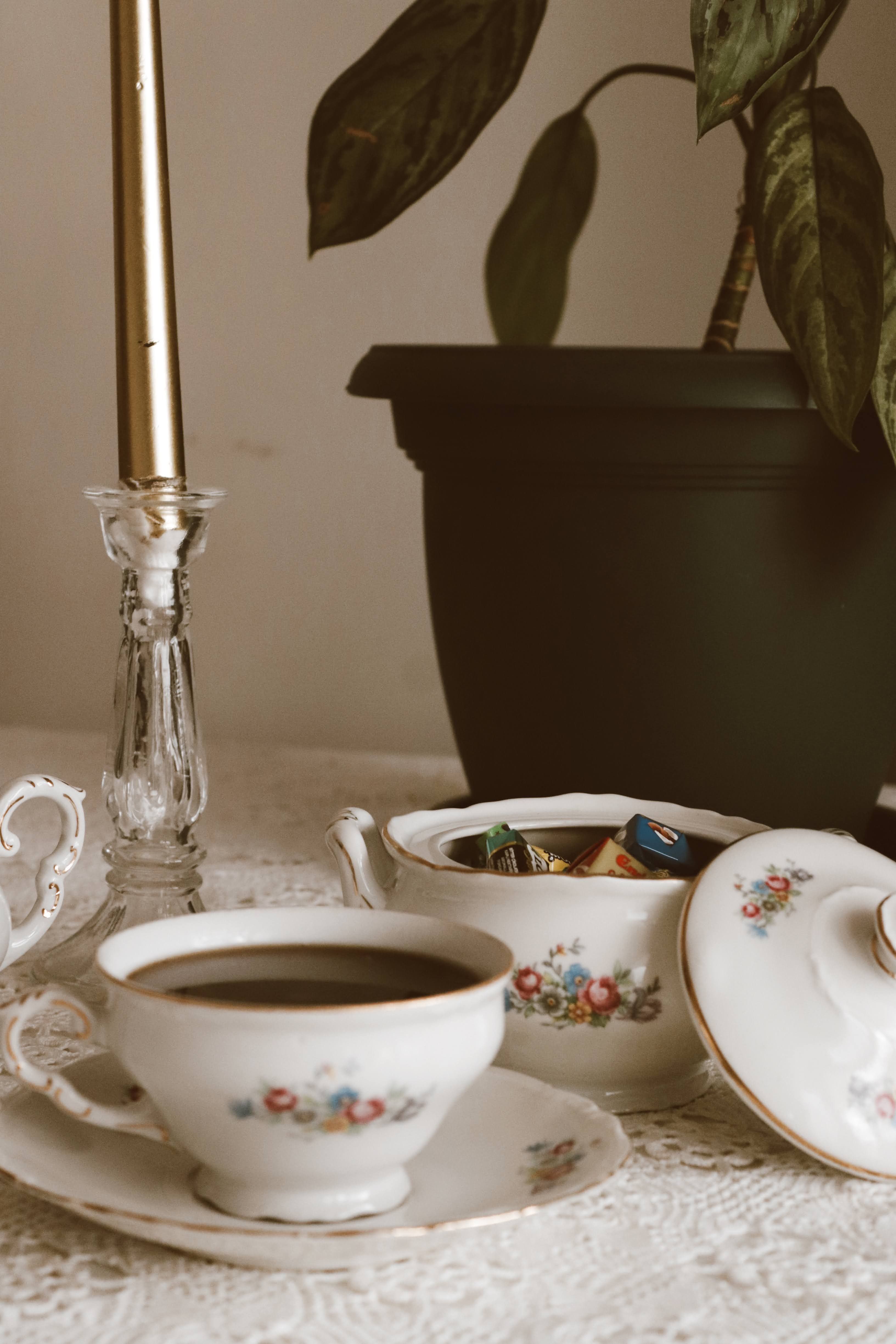 Elegant Tea Setting with Vintage China and Plant · Free Stock Photo