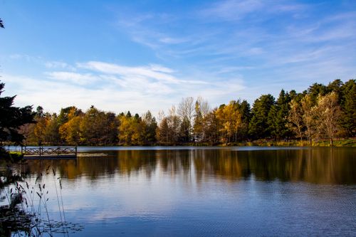 Free Serene view of a calm lake reflecting autumn trees in Kocaeli, Türkiye. Stock Photo