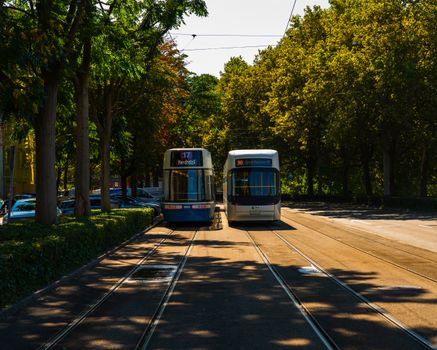 Two trams passing through a sunny, tree-lined street in an urban area with clear blue skies.