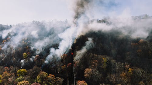 Dry Winds and Warm Fall Fuel Wildfire Threat