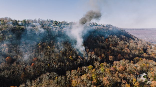 Aerial view of smoke rising over autumn forest near Chattanooga, Tennessee.
