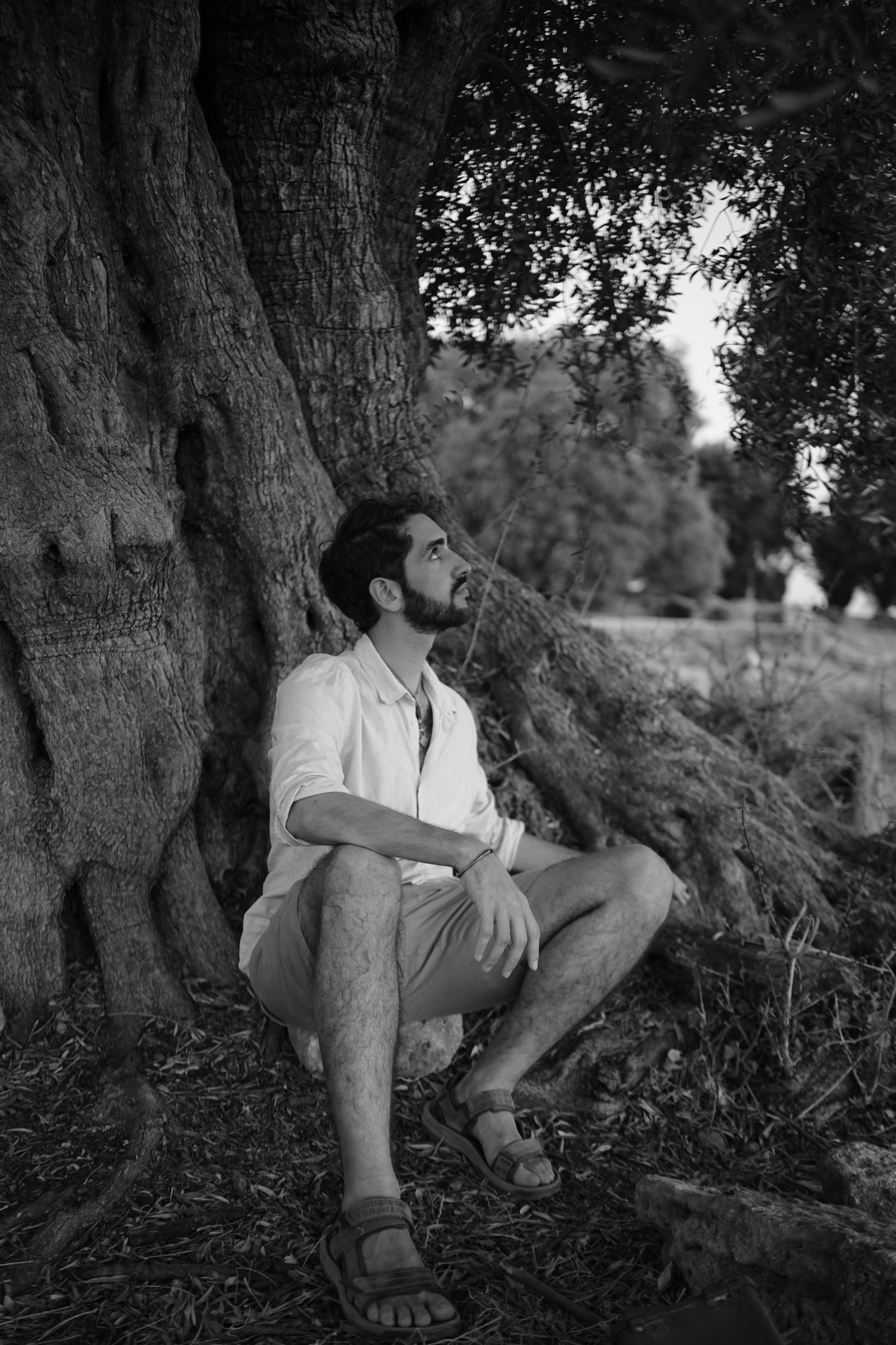 Pensive Man Sitting Under a Large Tree Outdoors · Free Stock Photo