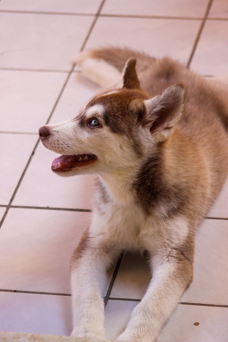 Wally - photo 1
