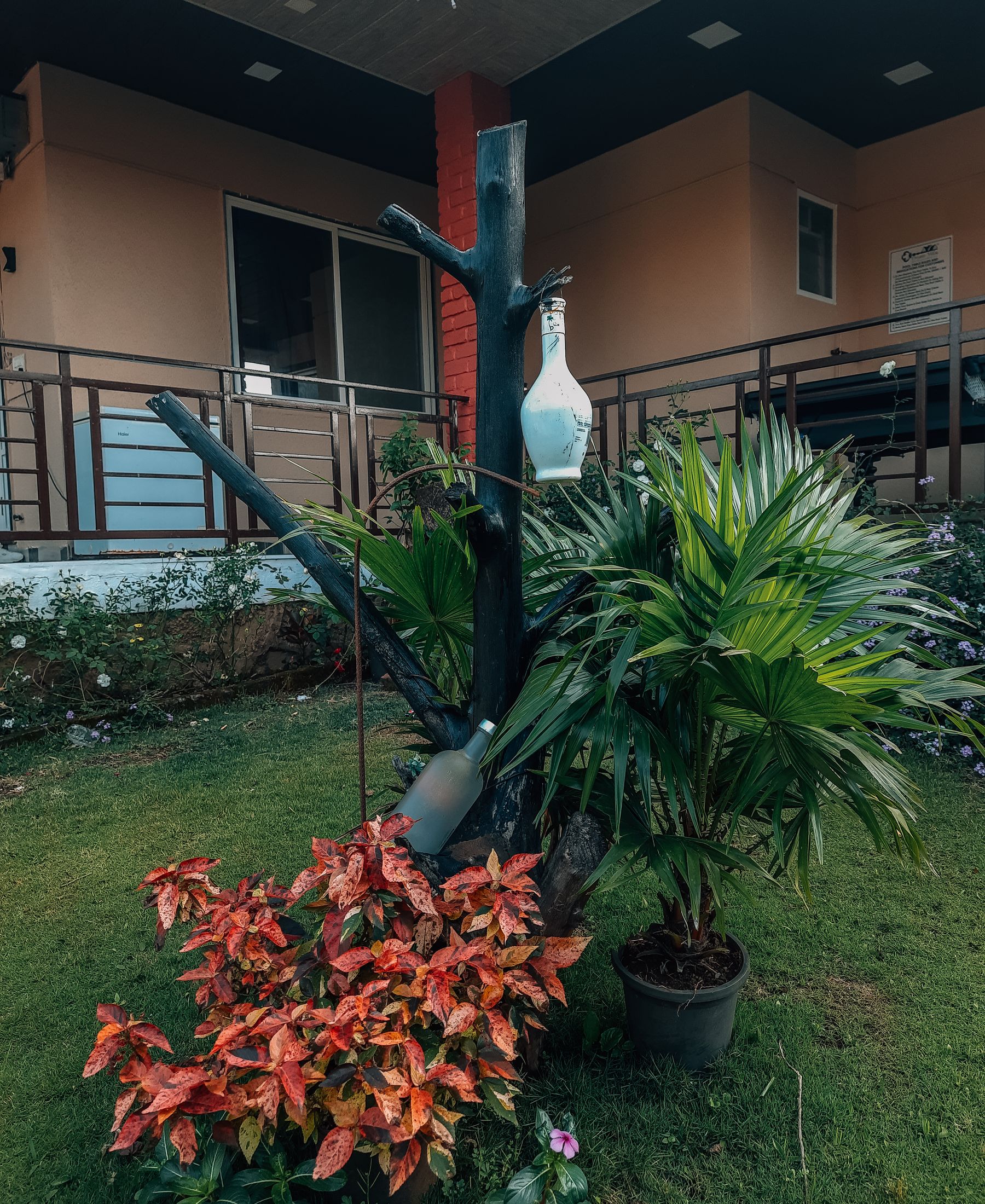 Outdoor garden decor with foliage