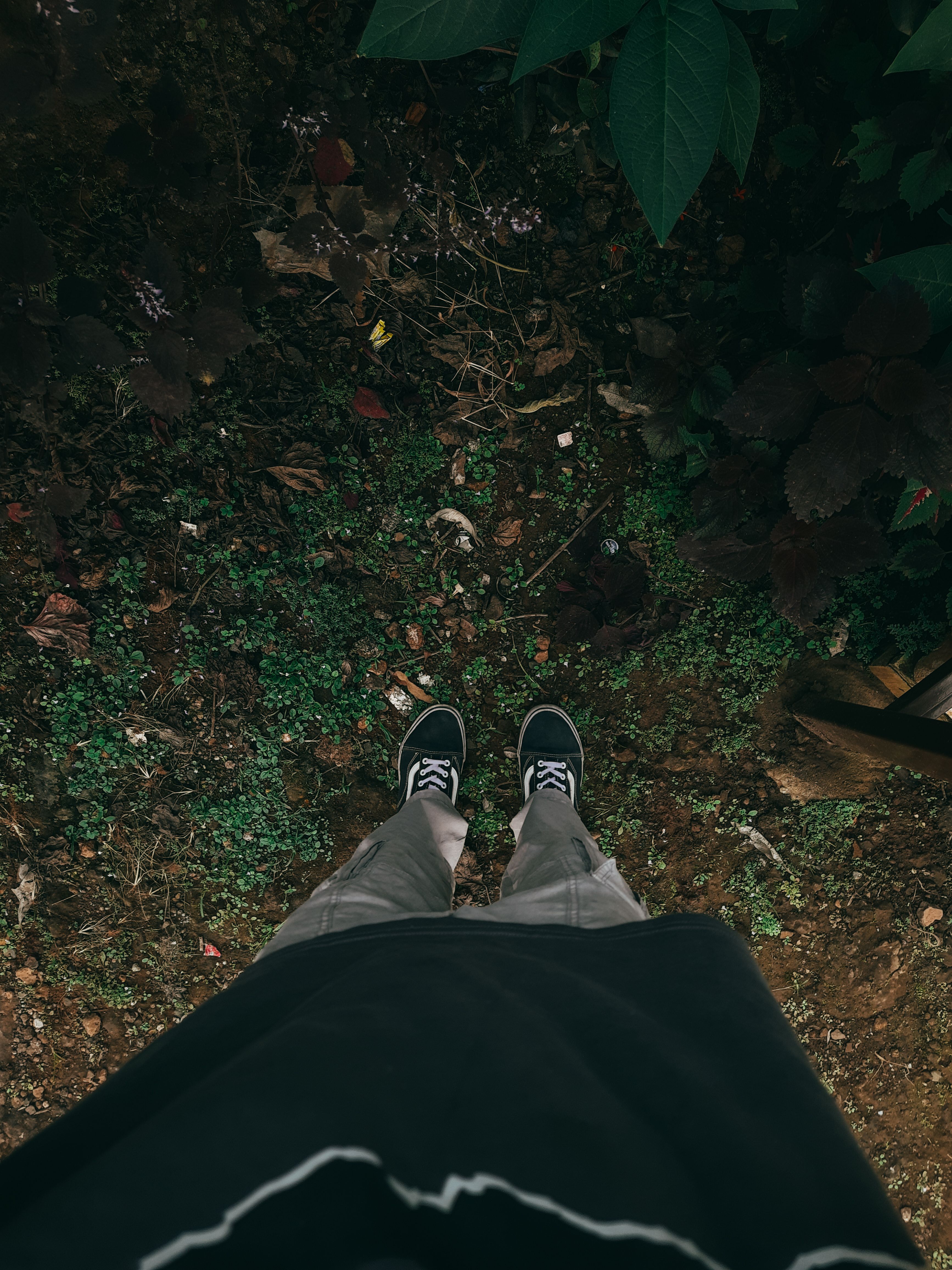 Feet on Forest Floor Surrounded by Greenery · Free Stock Photo