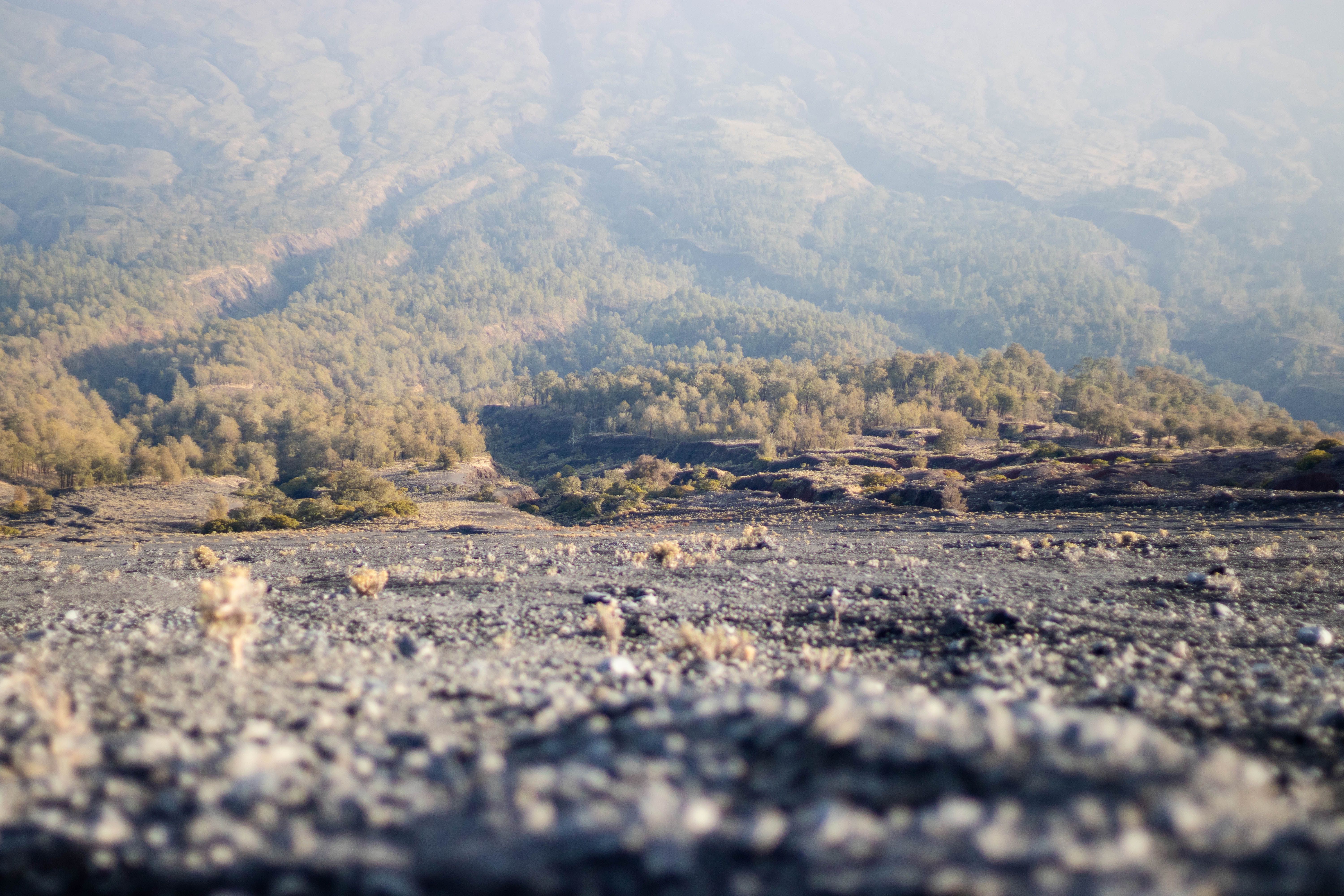 Mystical view of a foggy mountain valley in Lombok, Indonesia.
