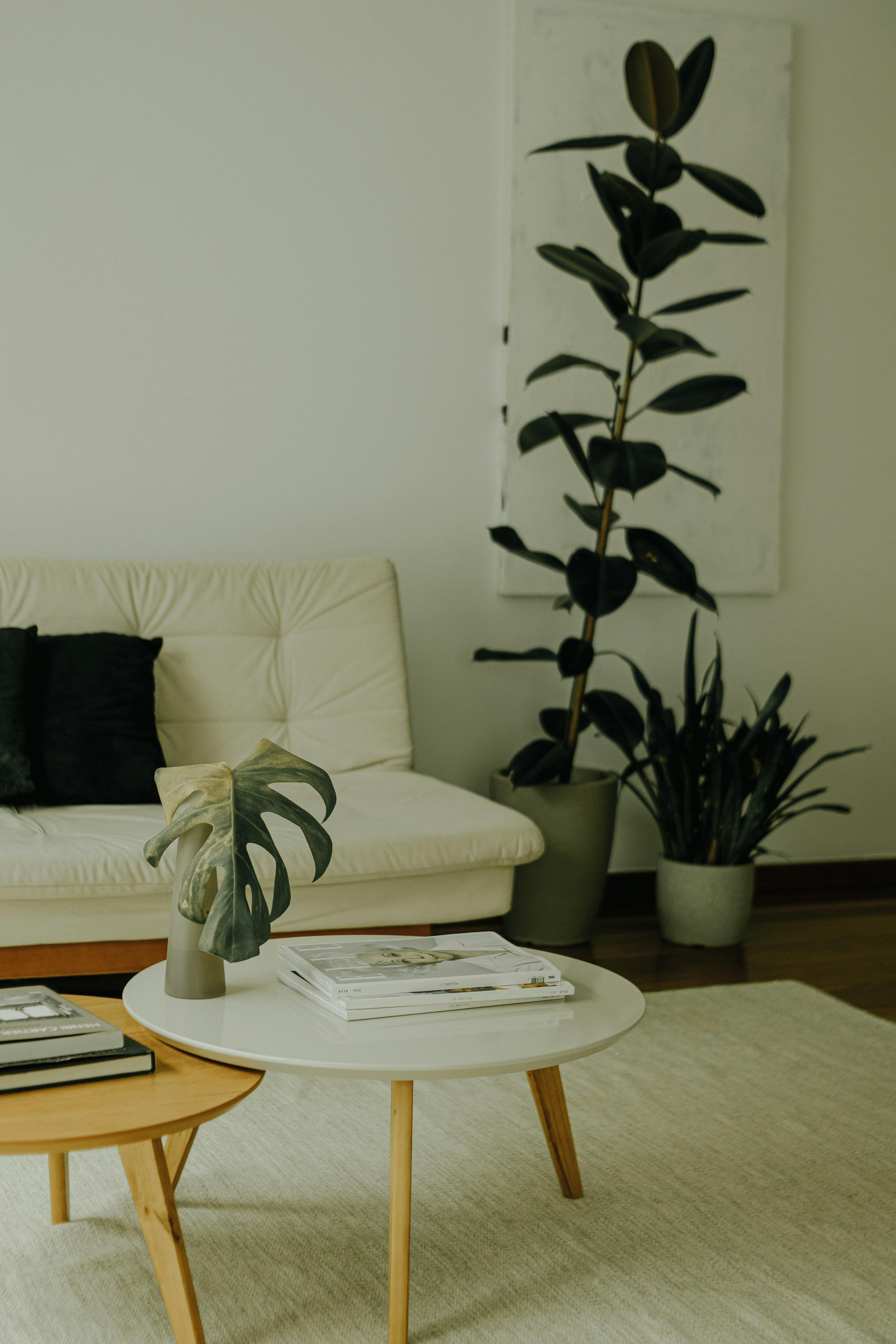 Cozy minimalist living room featuring a white couch, coffee table, and indoor plants.