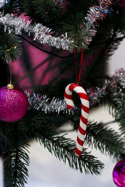 Close-up of a Christmas tree with shiny ornaments and a candy cane, capturing the holiday spirit.