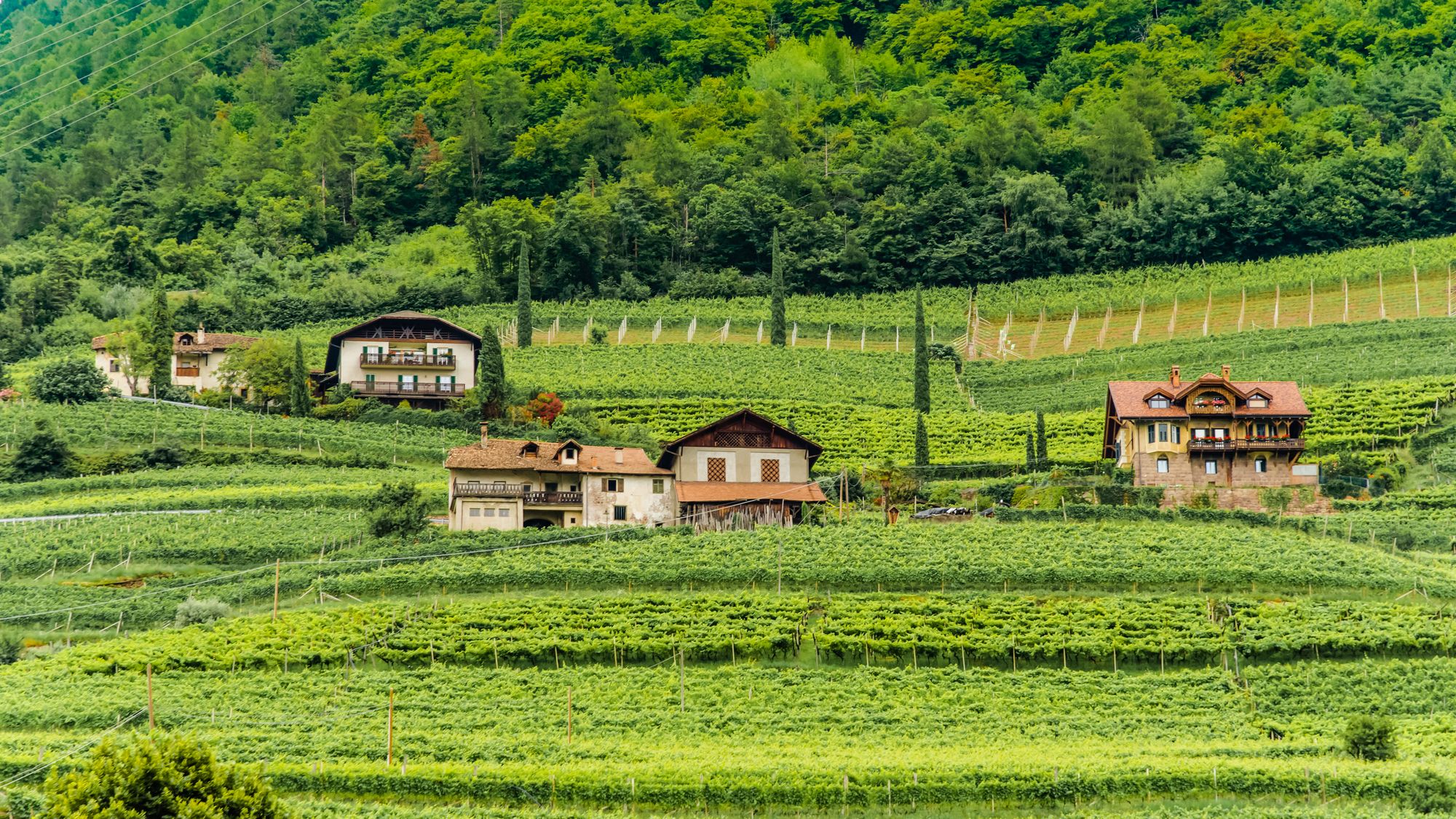 Bolzano