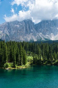 Image by Duc Tinh Ngo