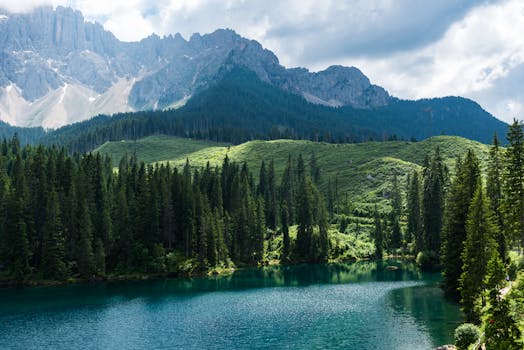 Image by Duc Tinh Ngo