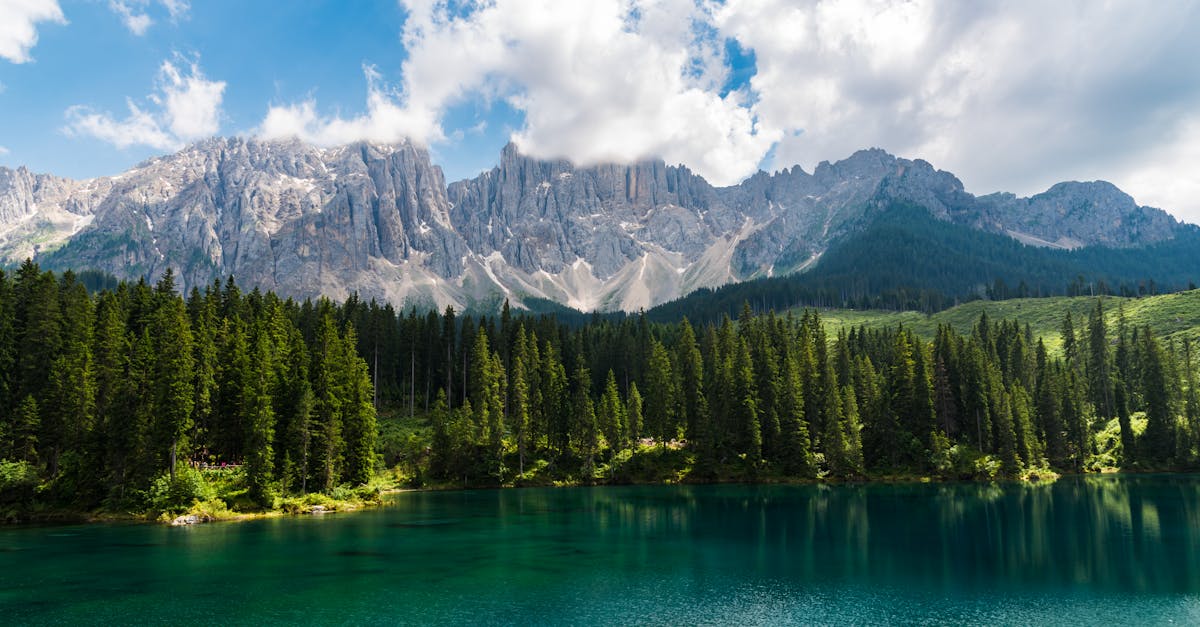 響應國際森林日 新竹林保署攜手桃園遠百探索森活之旅