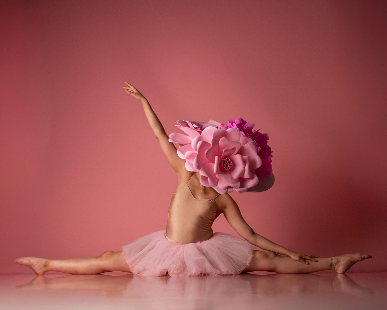 Danse Classique