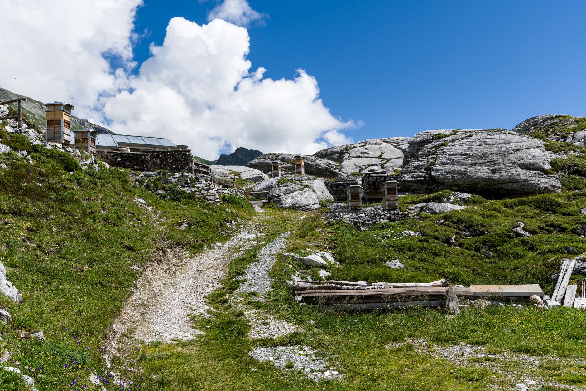Parcours des écureuils