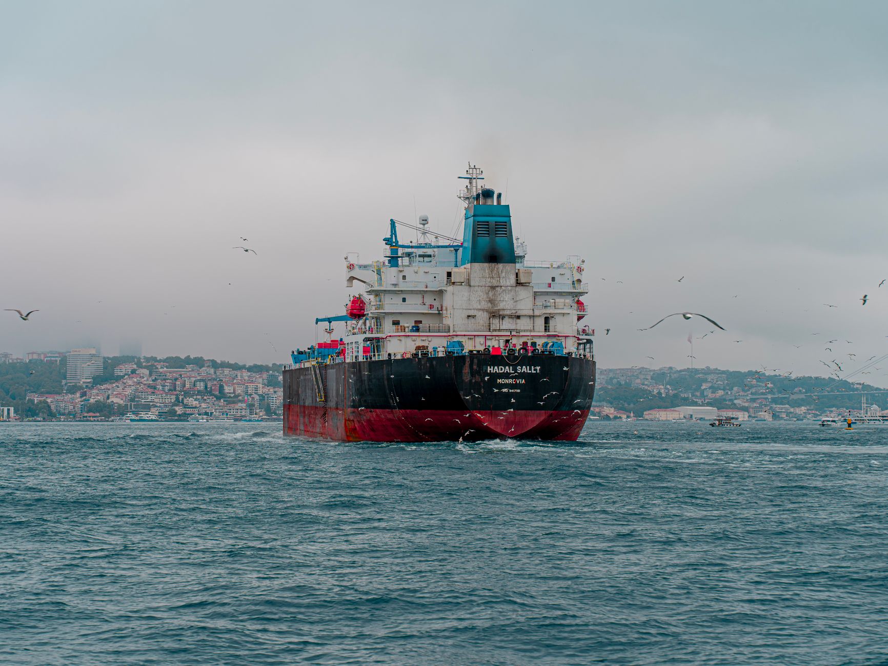 A cargo ship navigating the Bosphorus strait in Istanbul, surrounded by seagulls.