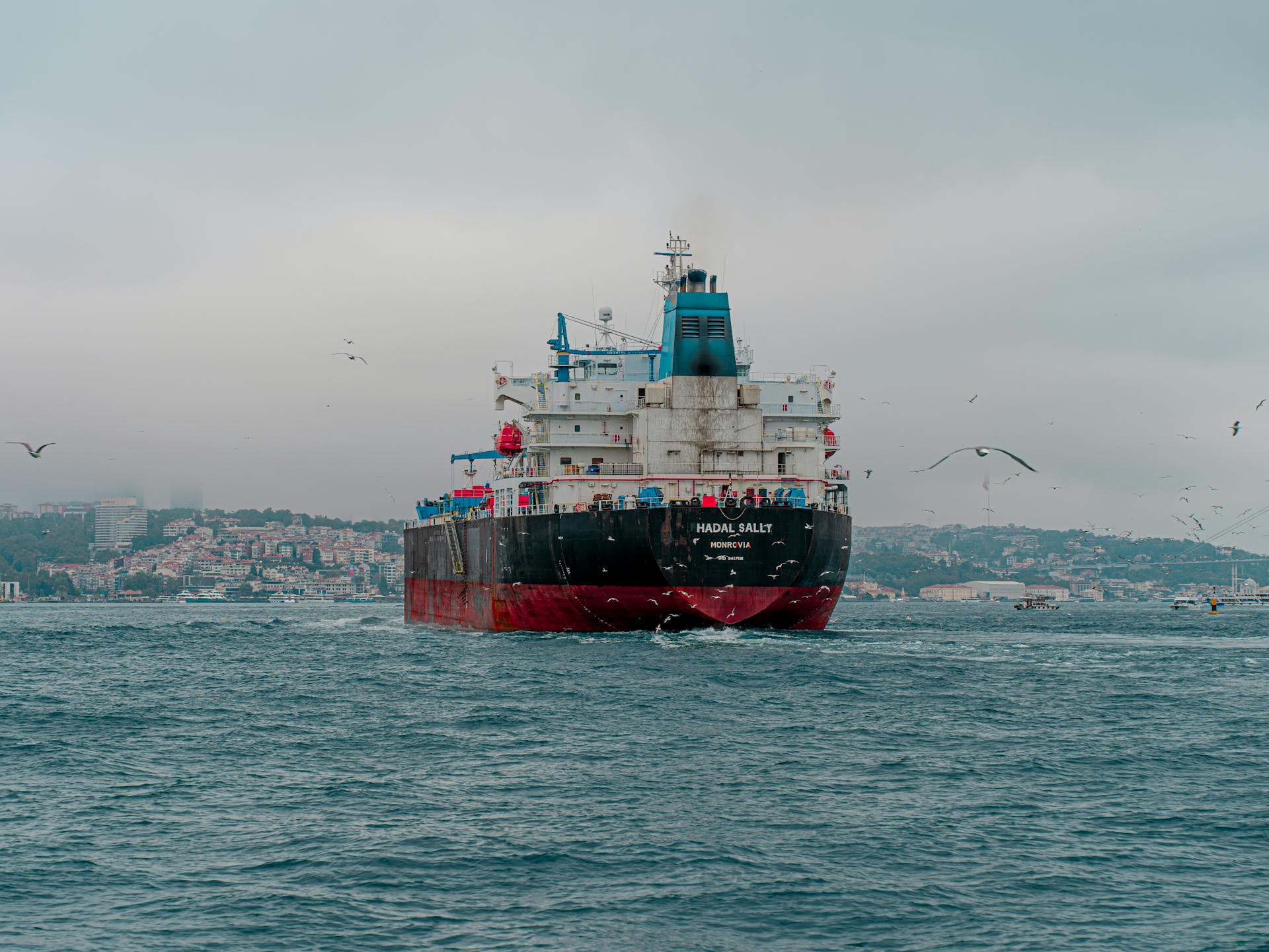 A cargo ship navigating the Bosphorus strait in Istanbul, surrounded by seagulls.