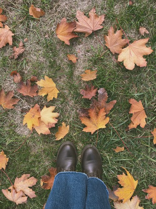 Free Boots on grass surrounded by colorful autumn leaves, a fall scene. Stock Photo