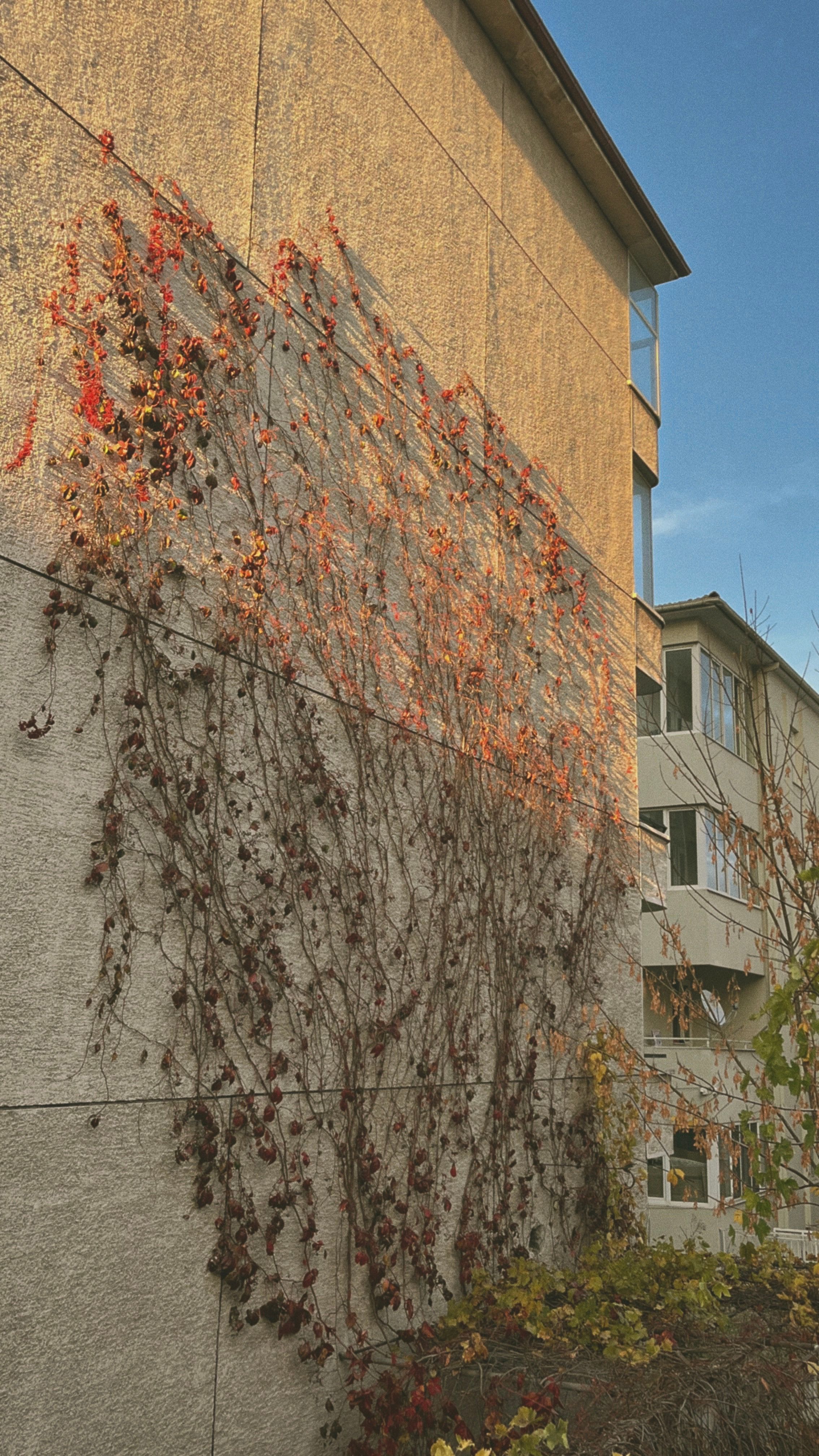 Gratis lagerfoto af æstetisk, arkitektur, arkitektur detaljer Lagerfoto