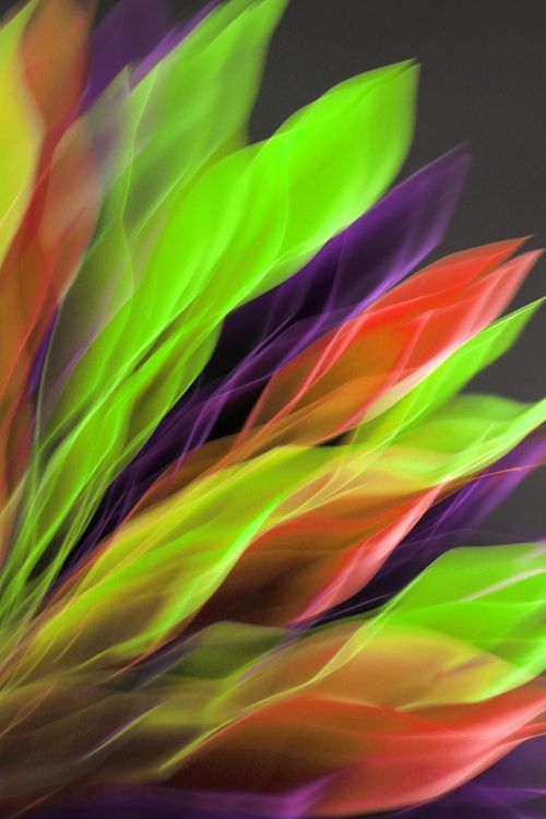 Free Dynamic abstract image of colorful leaves in motion creating a vivid, vibrant design. Stock Photo