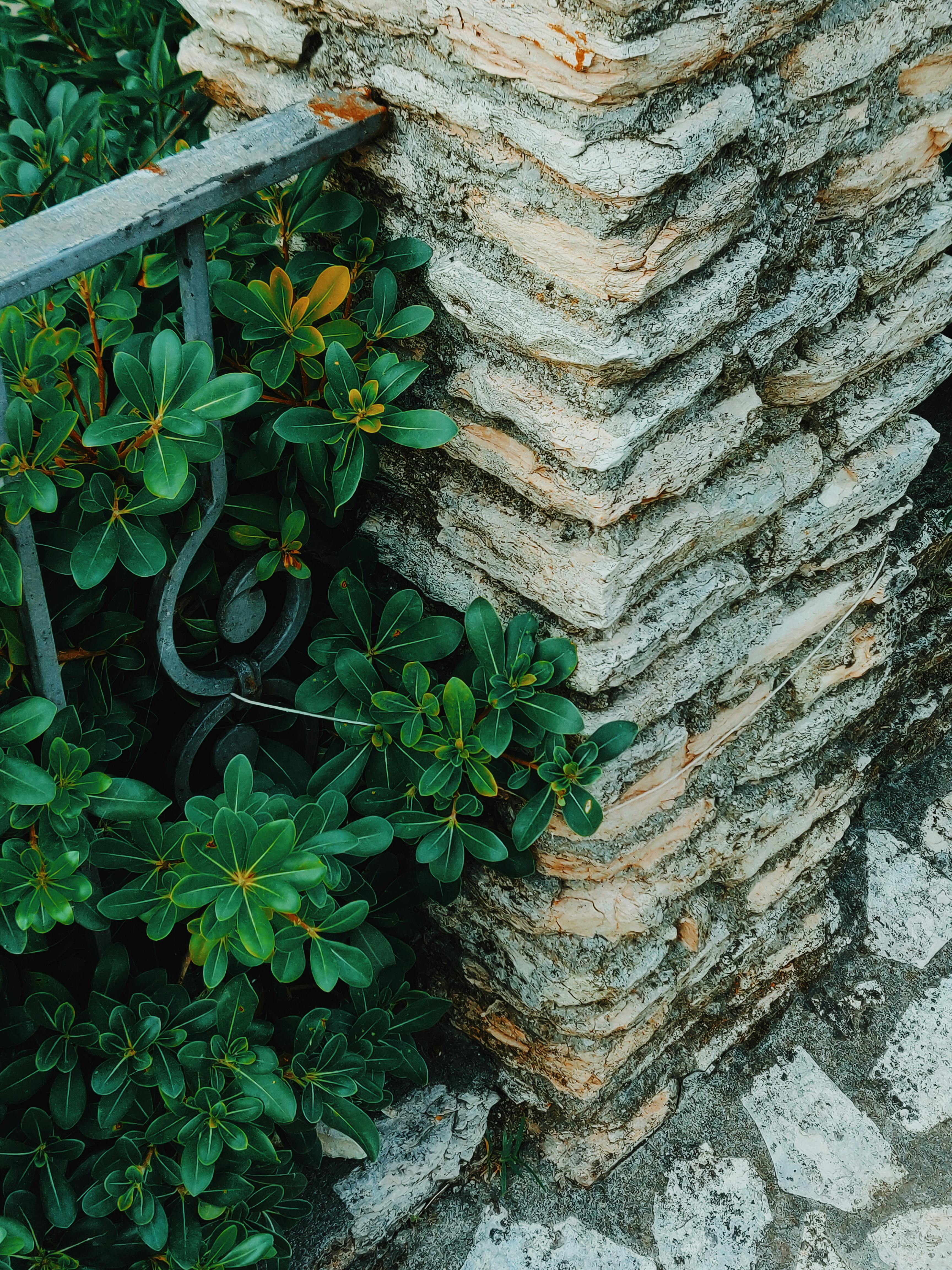 Image of a beautiful house representing home loans