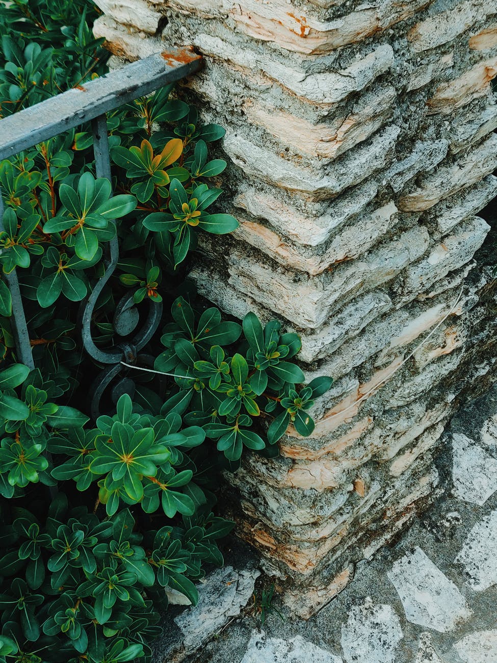 Which Loan Fits Your Needs? A Guide to Loan Types in India 2 Image of a beautiful house representing home loans