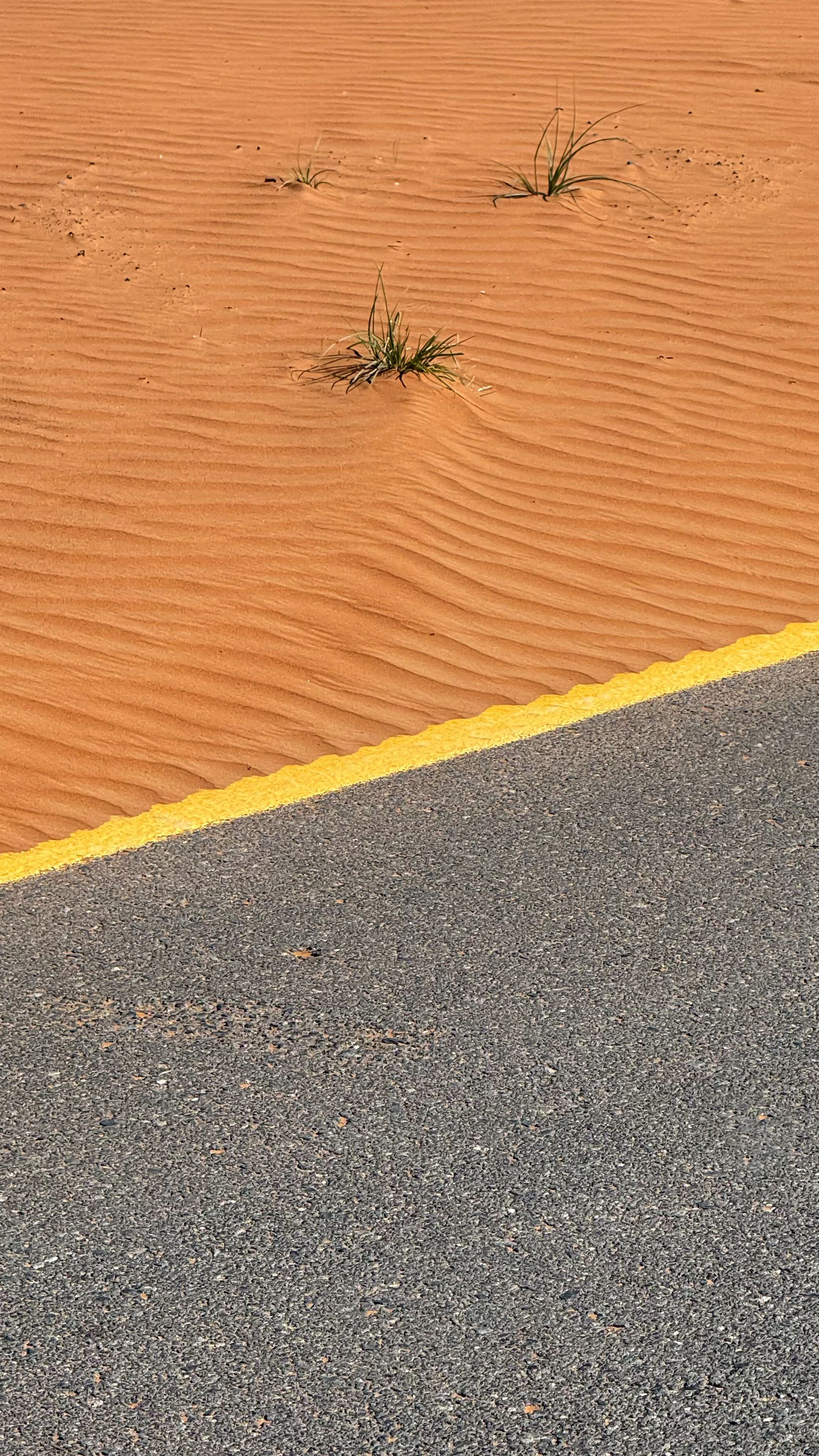 Contrast of Desert Sand and Asphalt Road · Free Stock Photo