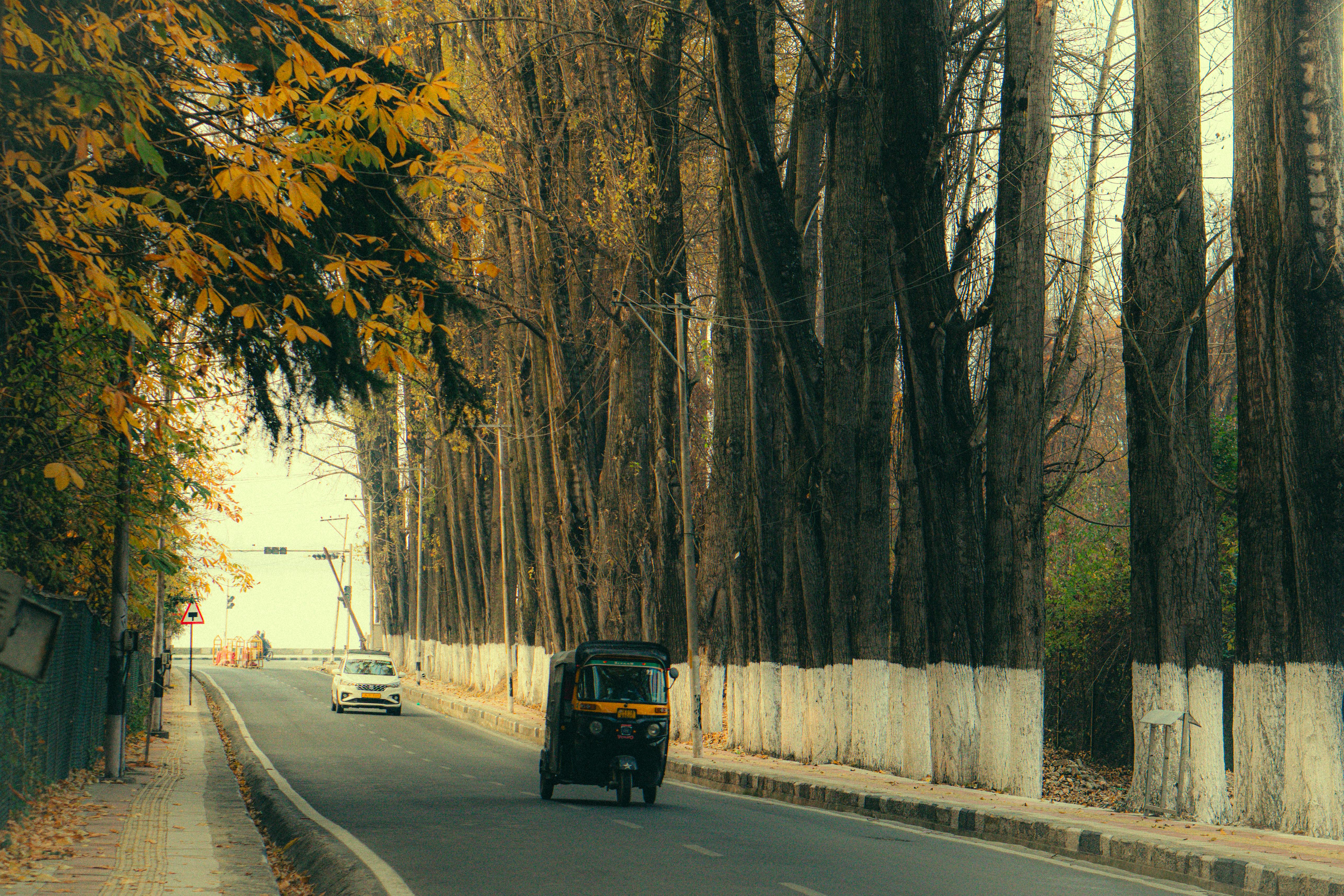 autumn roadside with auto rickshaw and trees