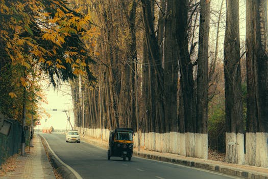 A picturesque autumn roadside scene with an auto rickshaw and tall trees.