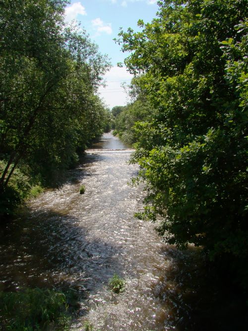 Free Peaceful river streaming through vibrant green forest under clear blue sky. Stock Photo