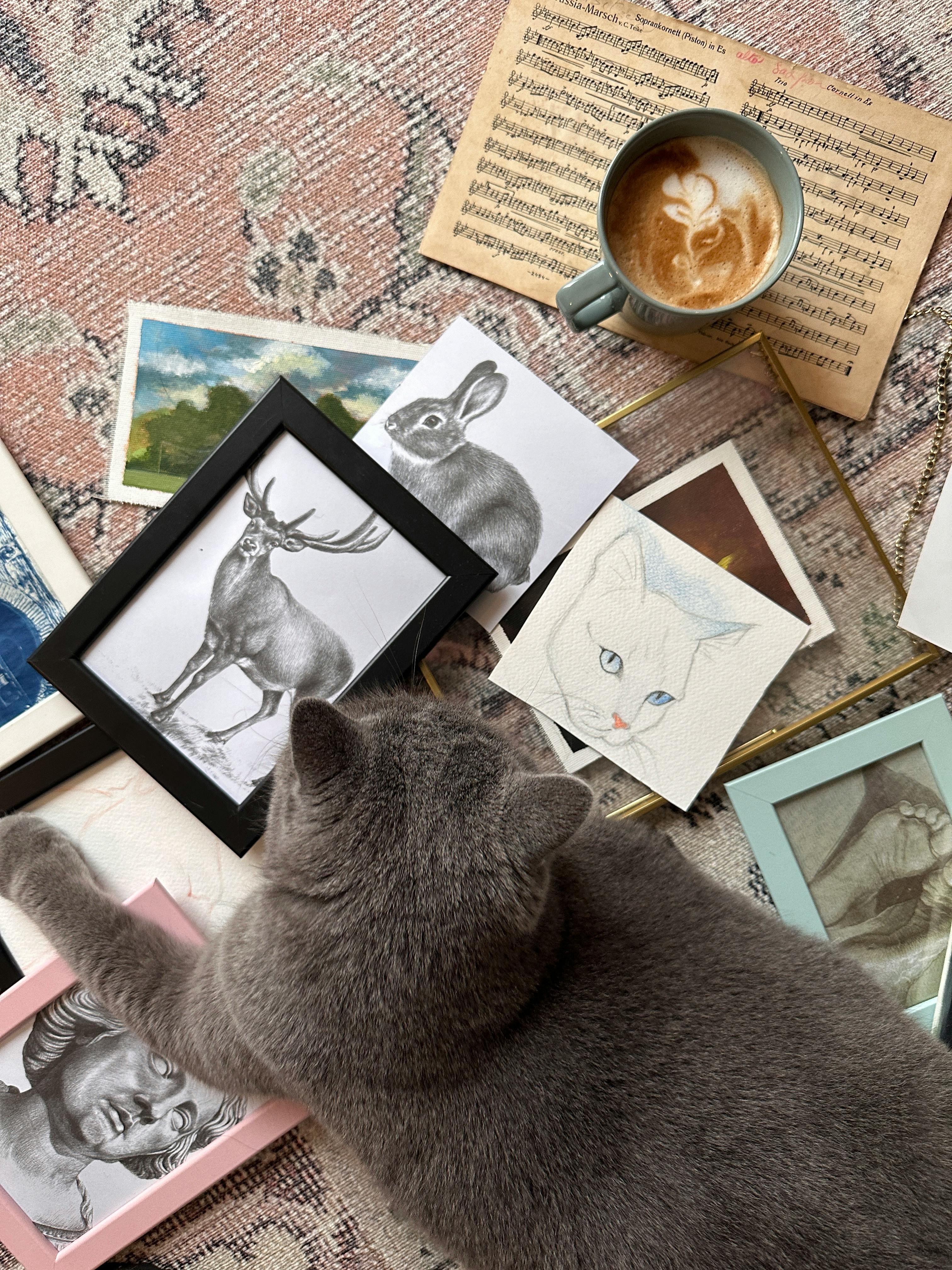 A gray cat lounges with art prints and a cappuccino on a patterned rug.