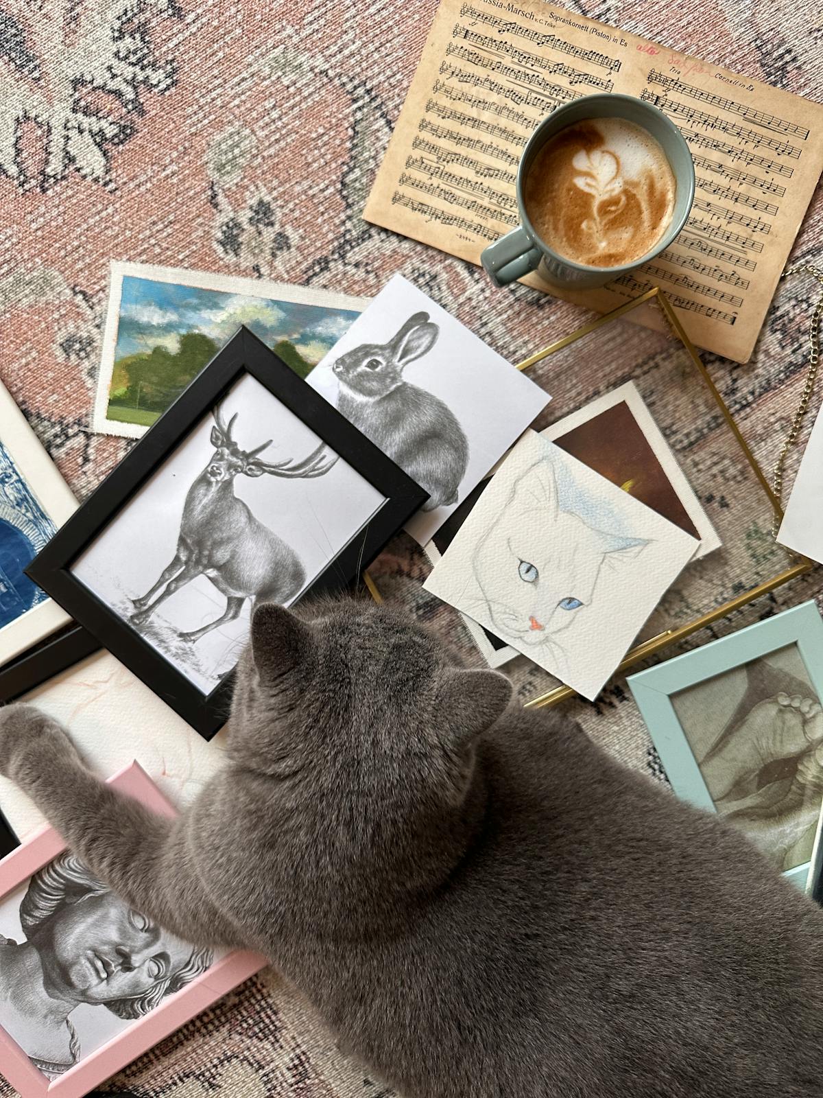 Colorful bird perched in rainforest canopy