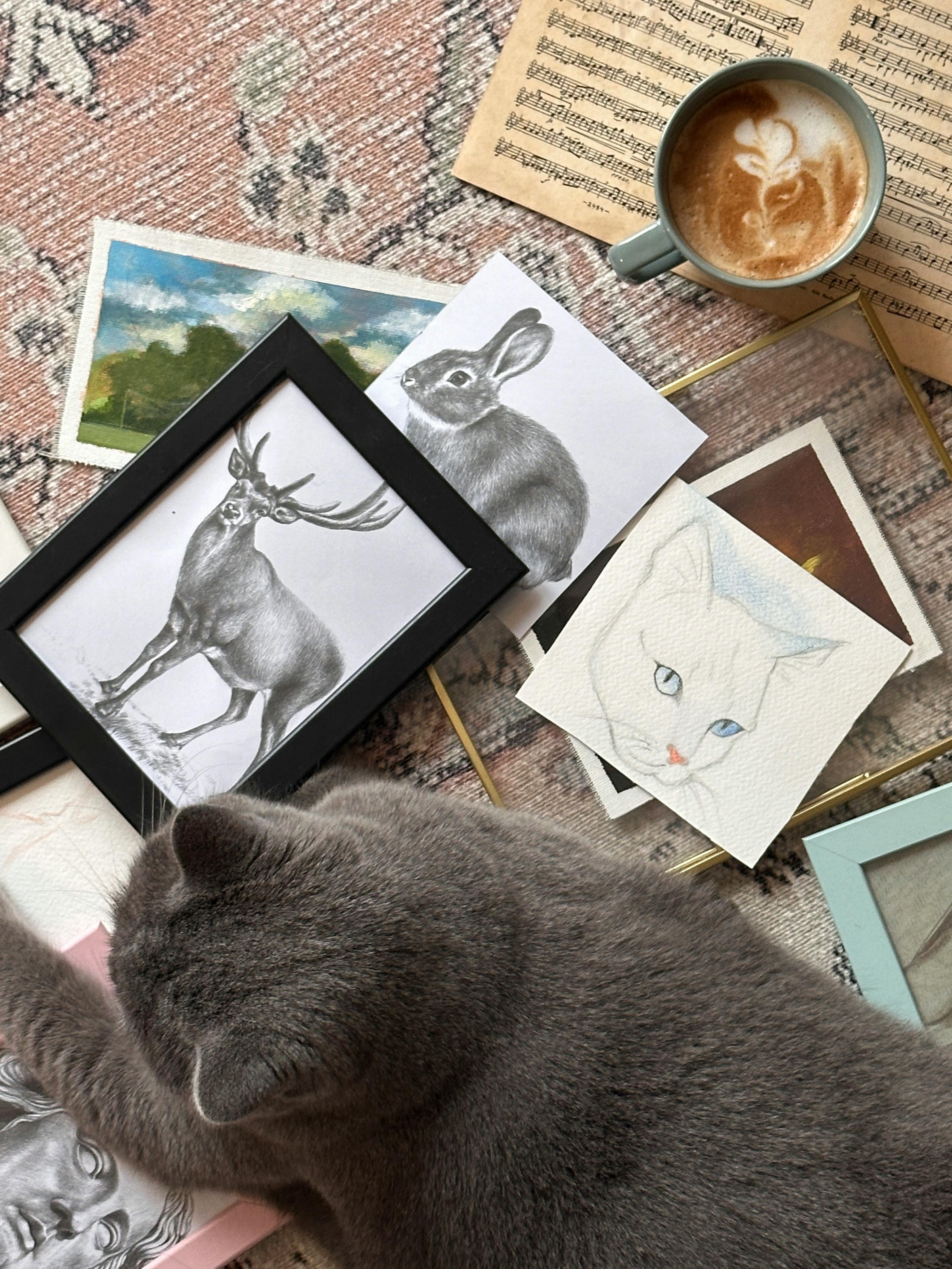 Flat lay of sketches, cat, and coffee on a desk, creating a cozy artistic atmosphere.